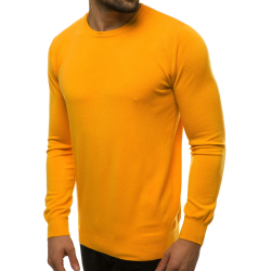 Vyriškas geltonos spalvos megztinis Entoni
