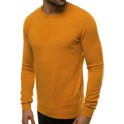 Vyriškas šviesiai rudos spalvos megztinis Entoni