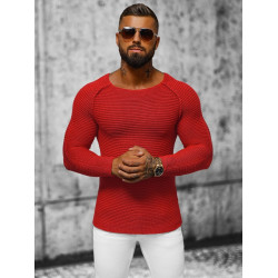 Vyriškas raudonas megztinis Terel