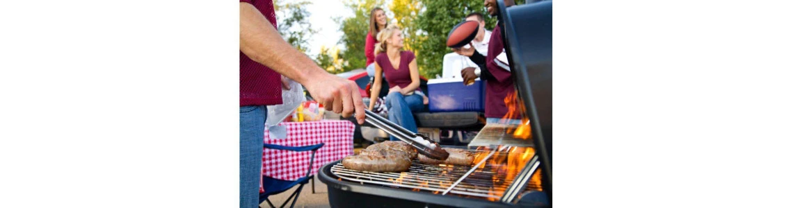 GRILIS MIESTE - LEGALU?