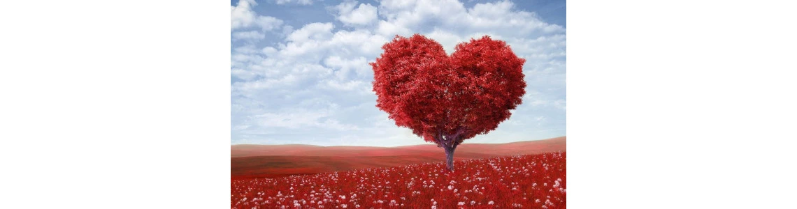 Populiariausios Valentino dienos dovanų idėjos