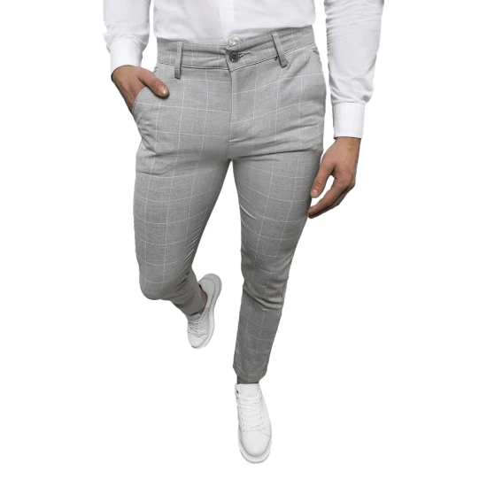 Vyriškos pilkos kelnės Alton DJ/5505