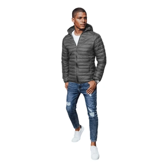 Vyriška pilka striukė Serg TX4422