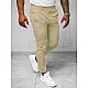 Men's brown trousers Barber O/1411SP