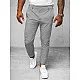 Men's grey trousers Barber O/1411SP