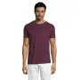 Мужская футболка бордового цвета Regent