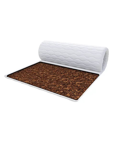 Kokosinis antčiužinis COCONUT 160x200