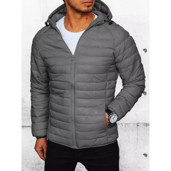 Vyriška pilka striukė Serg TX4422