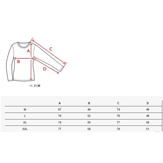 Vyriškas rusvas megztinis Firol WX2246