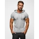 Pilki vyriški marškinėliai Remer JS/8T89/2Z