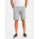 Vyriški pilkos spalvos šortai Rod V12 OM-SRCS-0197