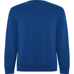 Mėlynas džemperis be gobtuvo Batian