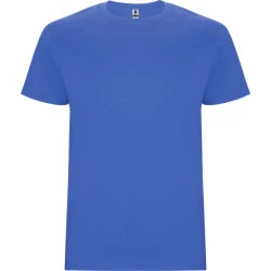 Vyriški mėlynos spalvos marškinėliai Stafford