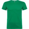 Meeste heleroheline Beagle T-särk T-särk | Polo Roly