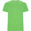 Meeste salatisärk Stafford T-särk | Polo Roly