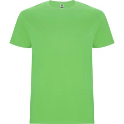 Vyriški salotinės spalvos marškinėliai Stafford