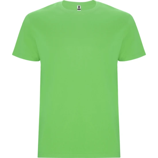 Vyriški salotinės spalvos marškinėliai Stafford Marškinėliai | Polo Roly