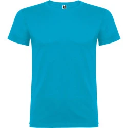 Vyriški turkio spalvos marškinėliai Beagle