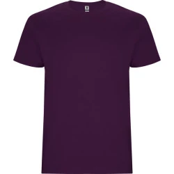 Vyriški violetinės spalvos marškinėliai Stafford