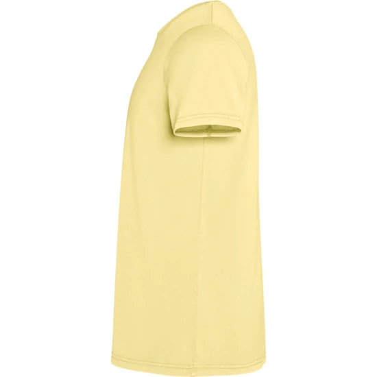 Vyriški geltonos spalvos marškinėliai Corgi Marškinėliai | Polo Roly