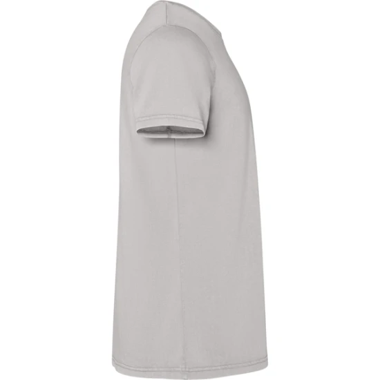 Vyriški pilkos spalvos marškinėliai Corgi Marškinėliai | Polo Roly