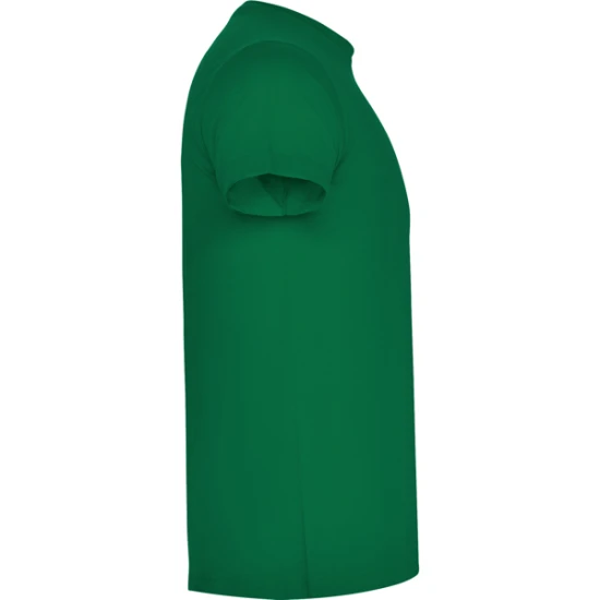 Vyriški žalios spalvos marškinėliai Atomic Marškinėliai | Polo Roly