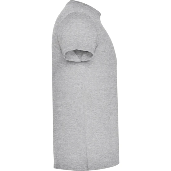 Vyriški pilkos spalvos marškinėliai Atomic Marškinėliai | Polo Roly