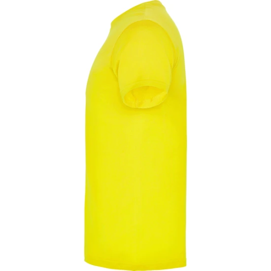 Vyriški geltonos spalvos marškinėliai Beagle Marškinėliai | Polo Roly