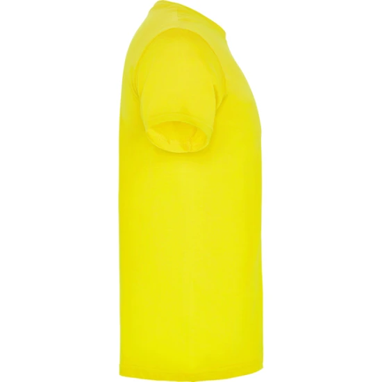 Vyriški geltonos spalvos marškinėliai Beagle Marškinėliai | Polo Roly