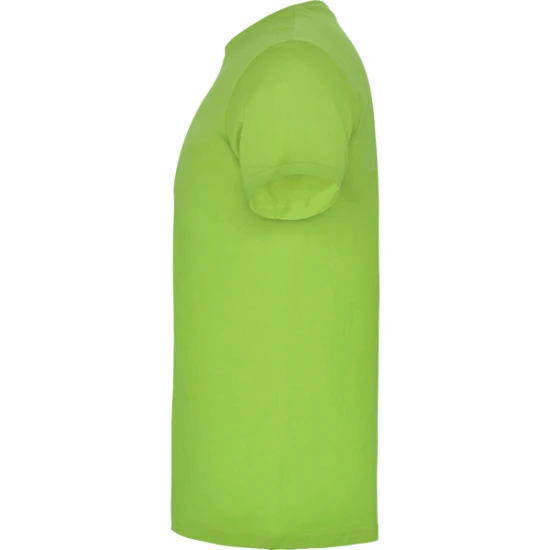 Vyriški šviesiai žalios spalvos marškinėliai Beagle Marškinėliai | Polo Roly