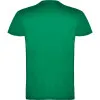 Meeste heleroheline Beagle T-särk T-särk | Polo Roly