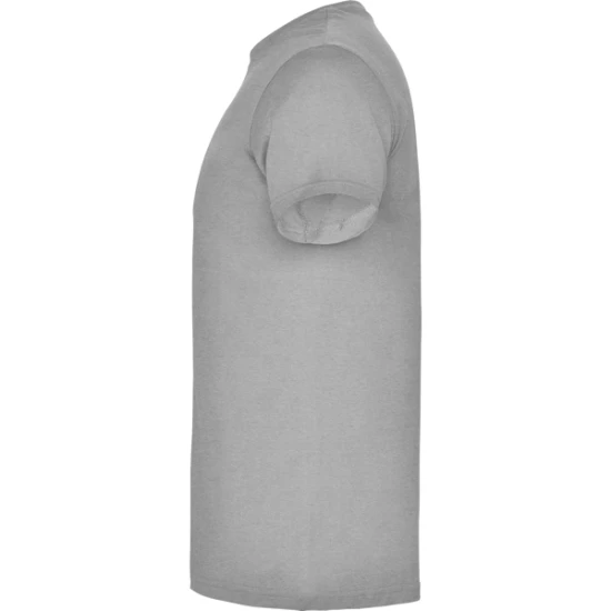 Vyriški pilkos spalvos marškinėliai Beagle Marškinėliai | Polo Roly