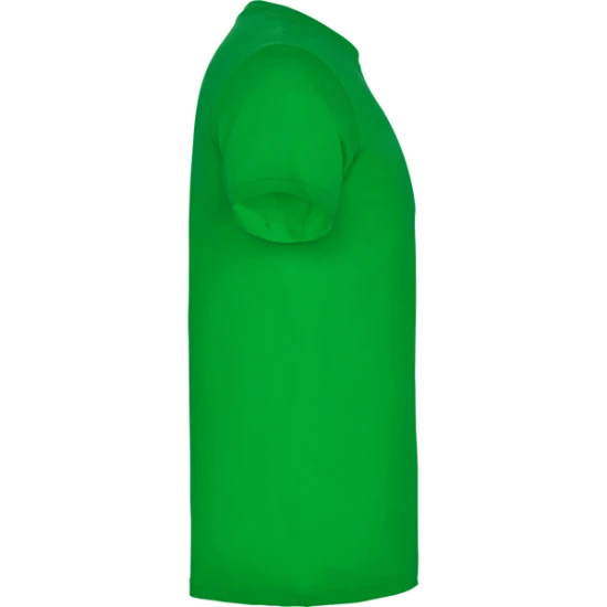 Vyriški žalios spalvos marškinėliai Beagle Marškinėliai | Polo Roly