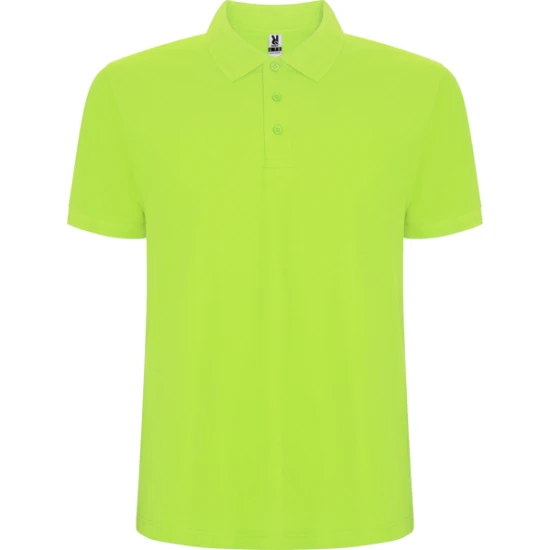 Vaikiški salotiniai polo marškinėliai Pegaso kids Marškinėliai | Polo Roly