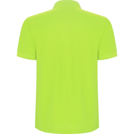 Vaikiški salotiniai polo marškinėliai Pegaso kids Marškinėliai | Polo Roly