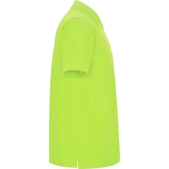 Vaikiški salotiniai polo marškinėliai Pegaso kids Marškinėliai | Polo Roly