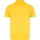 Vyriški geltoni polo marškinėliai Austral Marškinėliai | Polo Roly