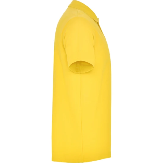 Vyriški geltoni polo marškinėliai Austral Marškinėliai | Polo Roly