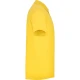 Vyriški geltoni polo marškinėliai Austral Marškinėliai | Polo Roly