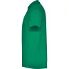 Vyriški žali polo marškinėliai Austral Marškinėliai | Polo Roly