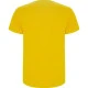 Vyriški geltonos spalvos marškinėliai Stafford Marškinėliai | Polo Roly