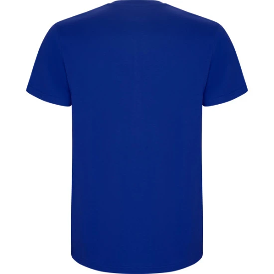 Vyriški ryškiai mėlynos spalvos marškinėliai Stafford Marškinėliai | Polo Roly