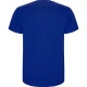 Vyriški ryškiai mėlynos spalvos marškinėliai Stafford Marškinėliai | Polo Roly
