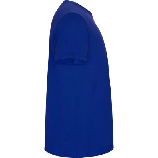 Vyriški ryškiai mėlynos spalvos marškinėliai Stafford Marškinėliai | Polo Roly