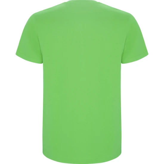 Vaikiški salotinės spalvos marškinėliai Stafford Marškinėliai | Polo Roly