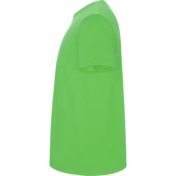 Meeste salatisärk Stafford T-särk | Polo Roly