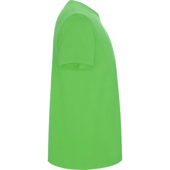 Vyriški salotinės spalvos marškinėliai Stafford Marškinėliai | Polo Roly