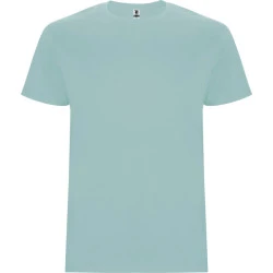 Vyriški mėtinės spalvos marškinėliai Stafford