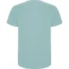 Men's mint Stafford shirt T-shirt | Polo Roly