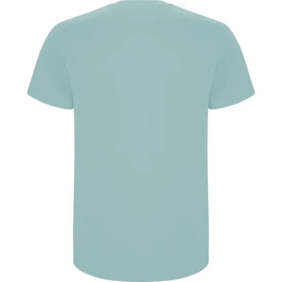 Vyriški mėtinės spalvos marškinėliai Stafford Marškinėliai | Polo Roly